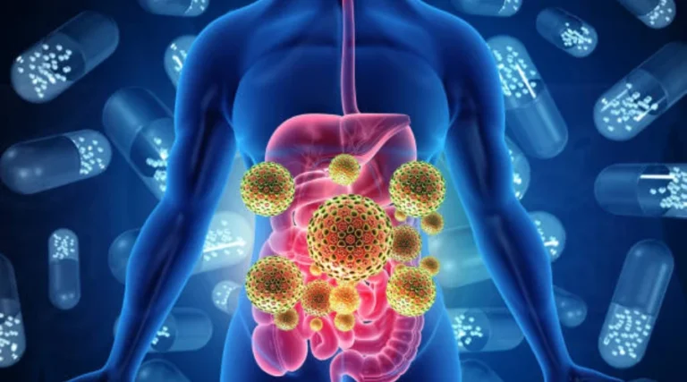 Précautions et Utilisation Responsable